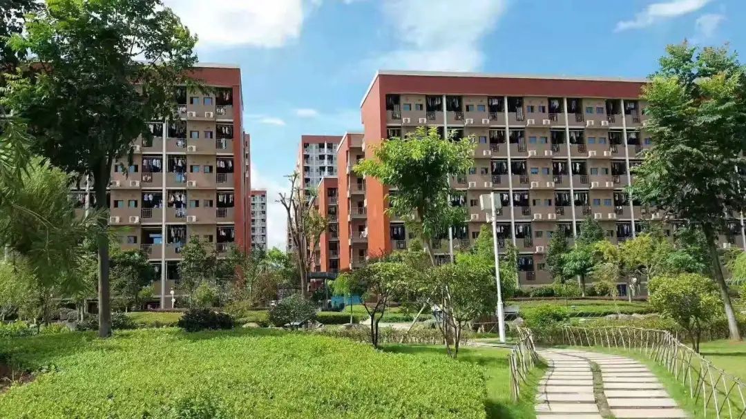 宁德新能源真实工资,宁德新能源待遇怎么样