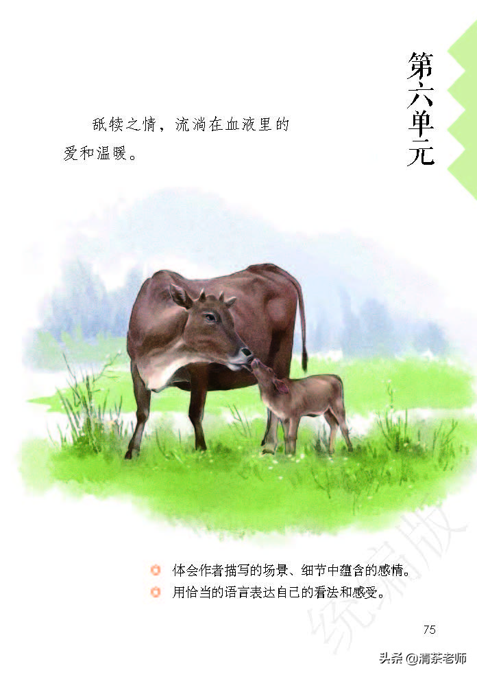 2022最新版五年级语文上册电子课本，老师家长都需要