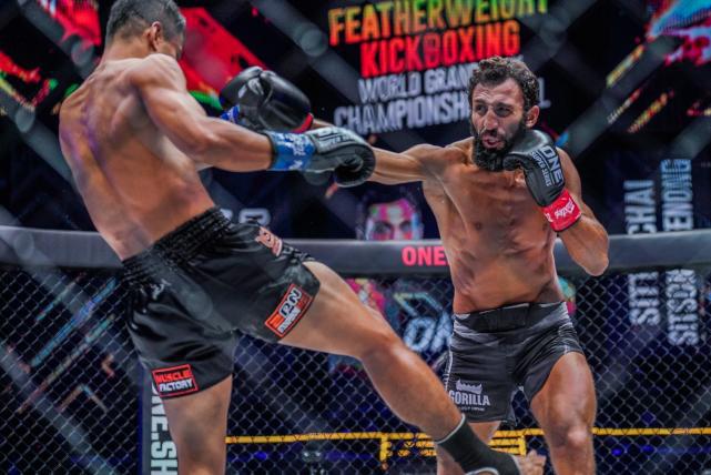 格斗是速度力量与智慧结合体,格斗是什么属性