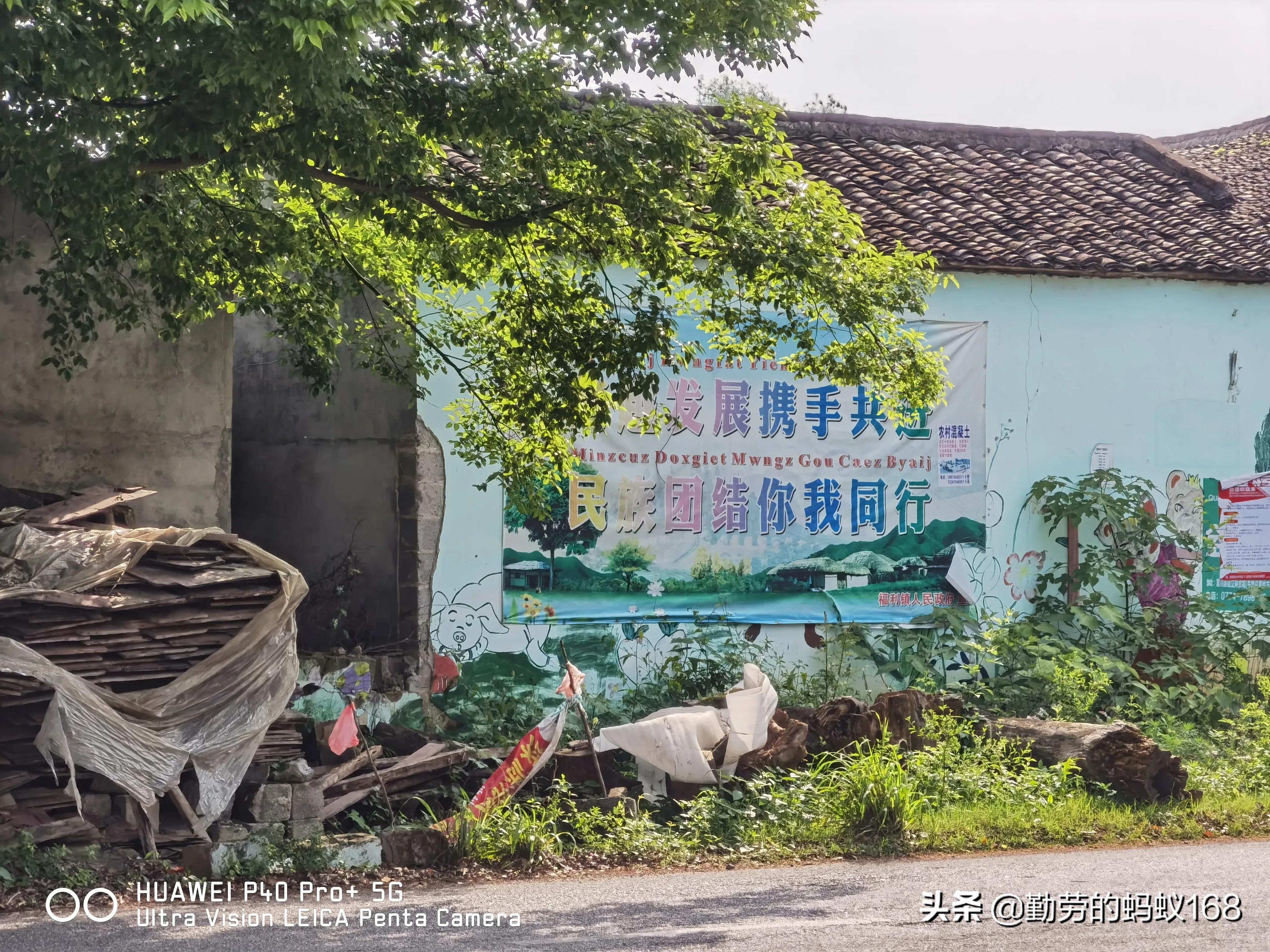 小米11ultra3999值得买吗,小米11ultra和荣耀magic4