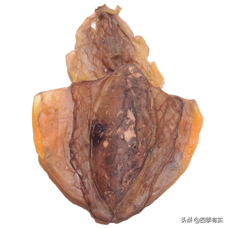 暖暖的很贴心上一句,暖暖的很贴心原视频