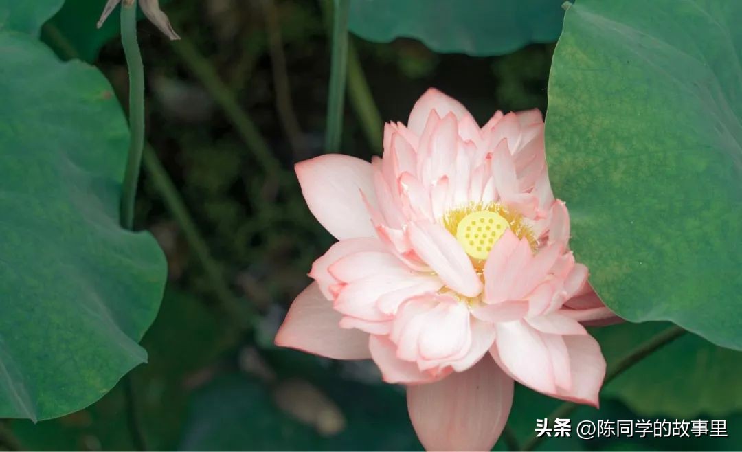 福建霞浦最美的海滩在哪里,霞浦值得去的海滩