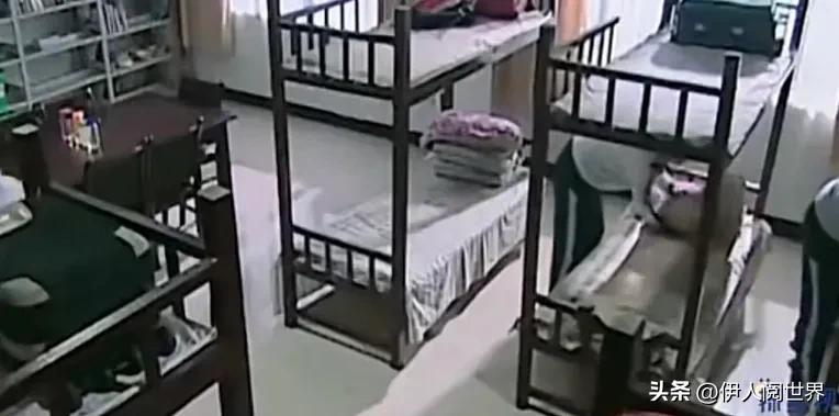 静海七仙女事件幸存者怎么样了,98年静海一中七仙女案幸存者现状