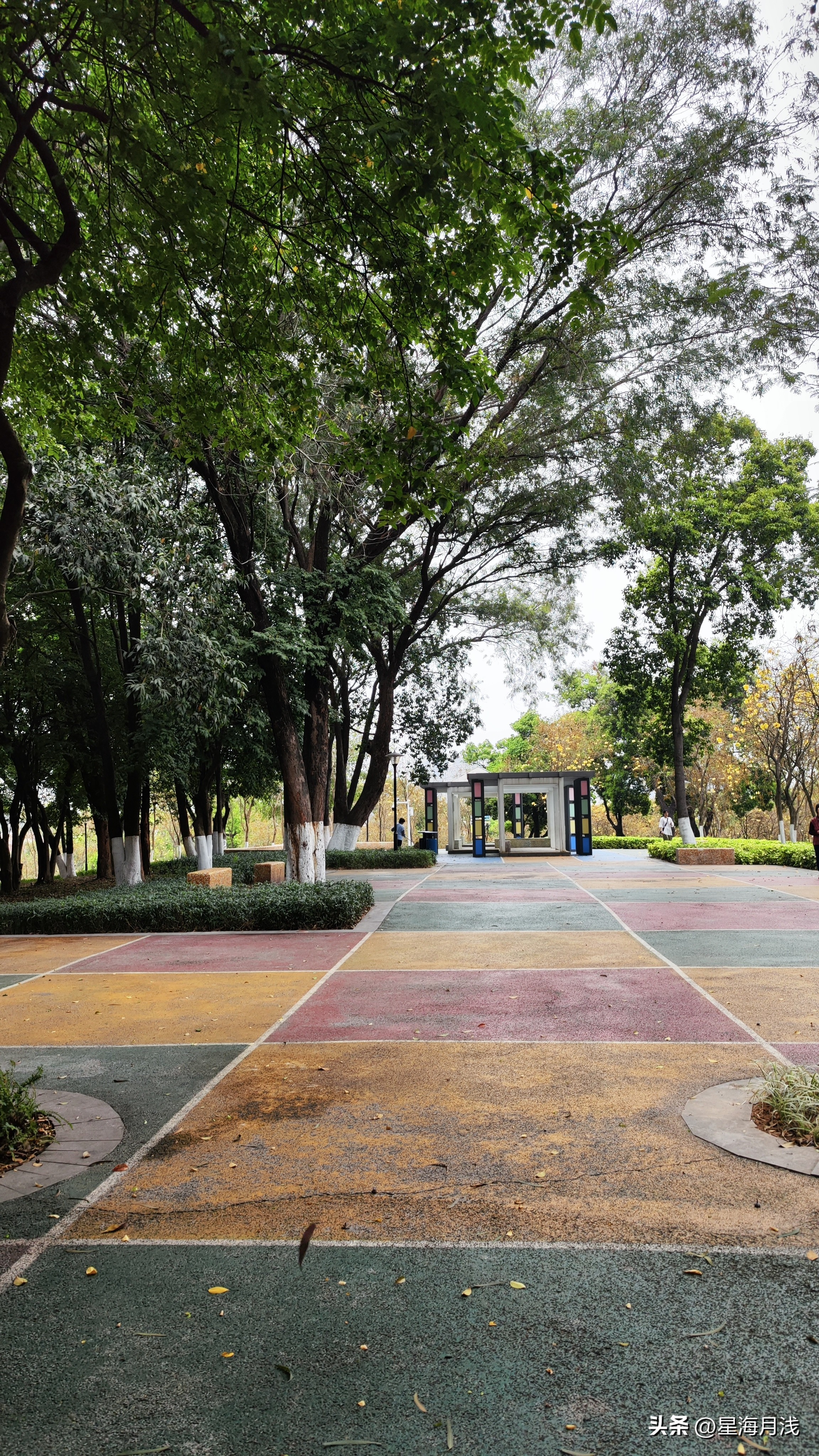 带你玩遍广州所有的儿童公园,广州免费公园遛娃好去处