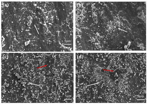 干摩擦条件下RGO/3Y-TZP复合材料的摩擦磨损性能