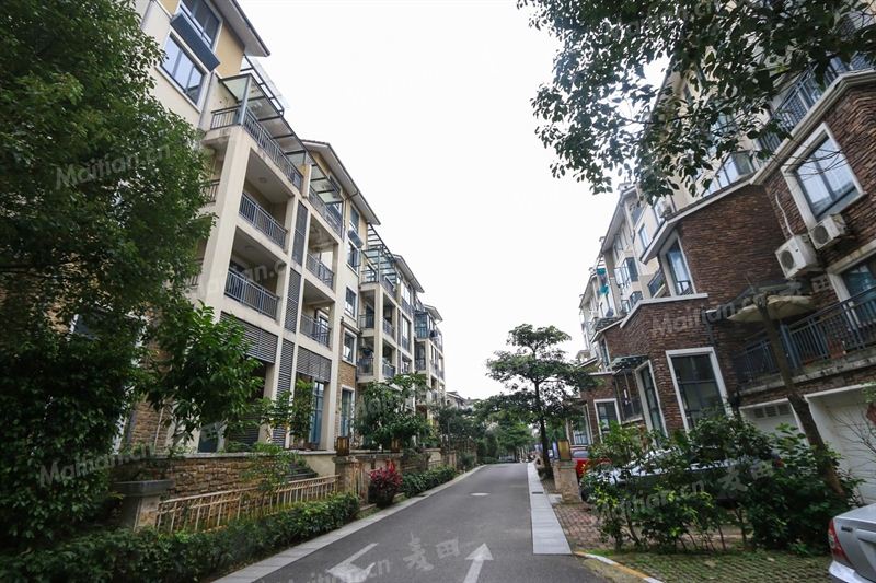 福州左海公园最好的小区,福州左海公园最好的楼盘