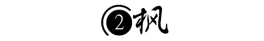 河北女孩瘫痪,河北女子瘫痪在床20年