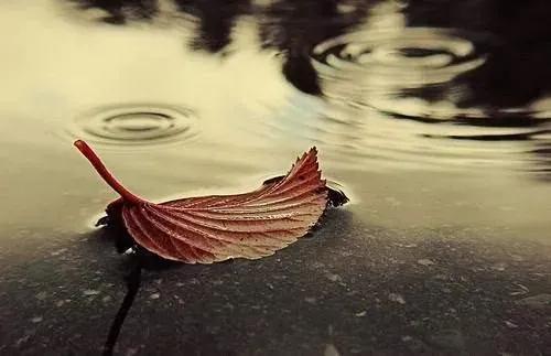 淡淡的心情唯美短句佳句,淡淡的心情唯美图片