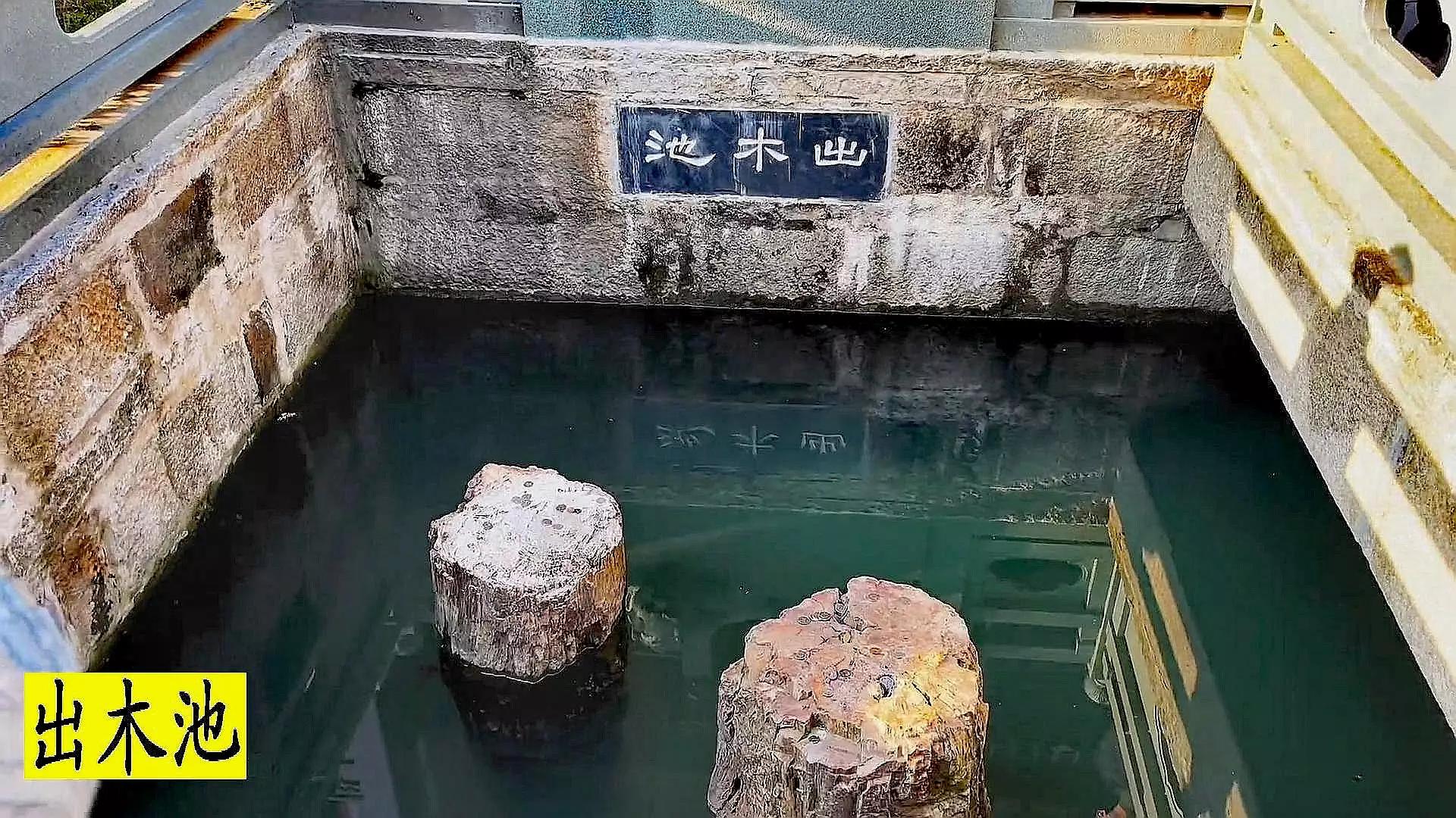 佛教圣地东林寺,东林寺祖庭与净土宗有何区别