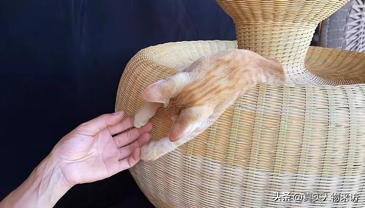 中国竹编手艺大全,竹编技艺大师作品