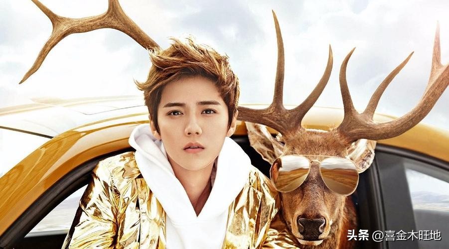 鹿晗身世的简介,王思聪对鹿晗的家世评价