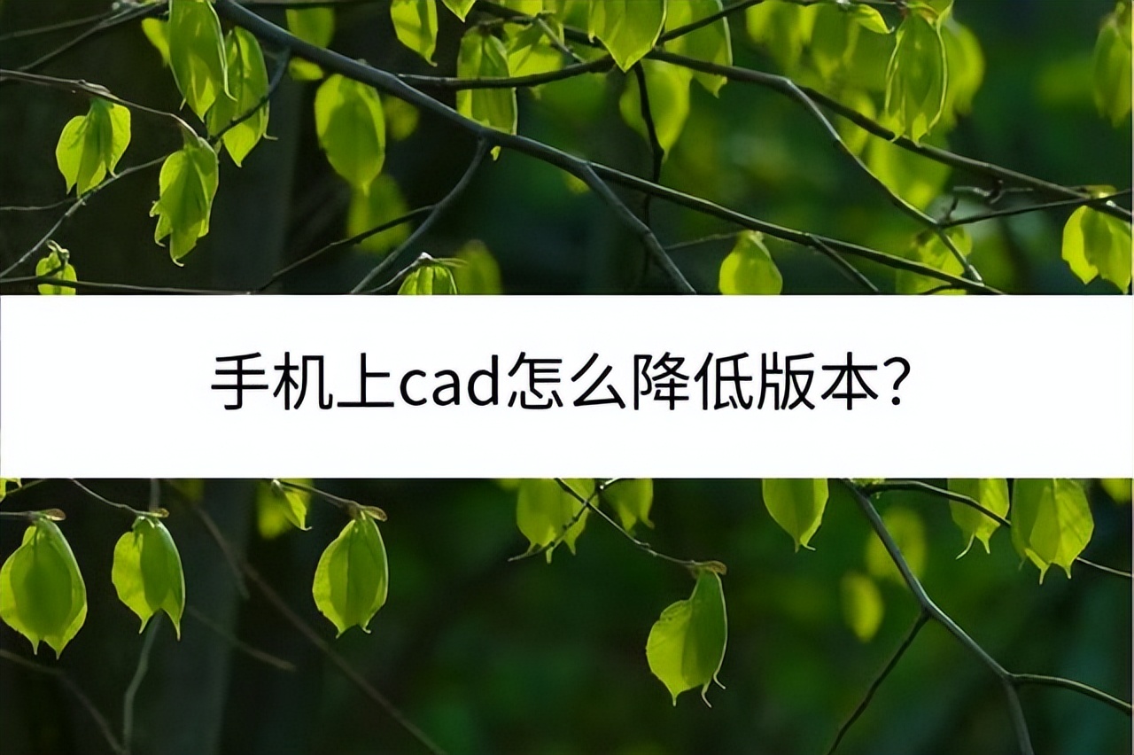 cad升级高版本需要卸载老版本吗,手机cad如何降低图纸版本