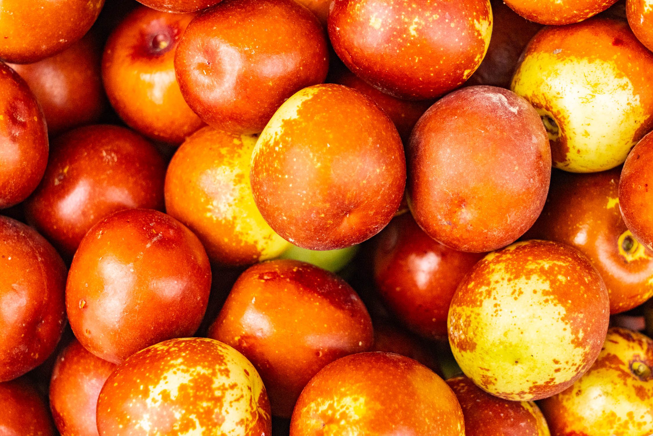 你知道什么叫红枣,贡枣的特点