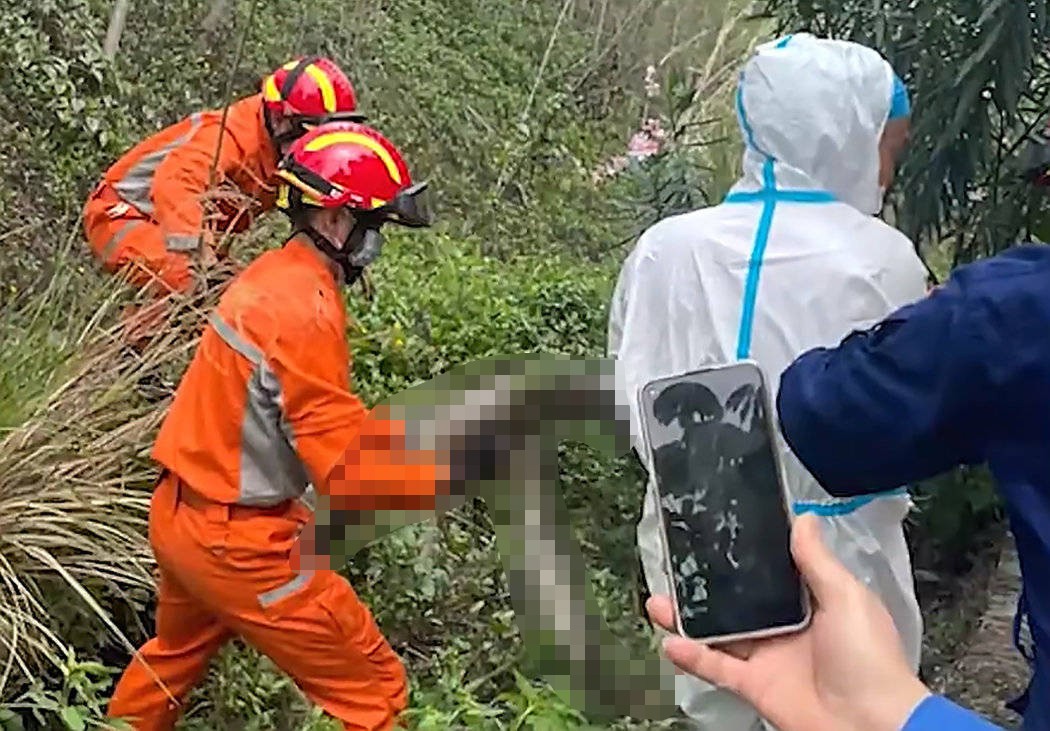 村民家中惊现200公斤重巨蟒,河里惊现500公斤重巨蟒