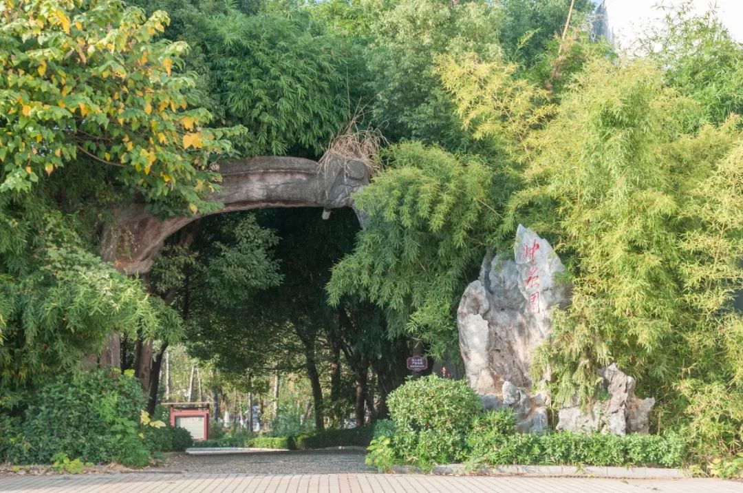 江西中医药大学最新排名,江西中医药大学是什么档次的学校