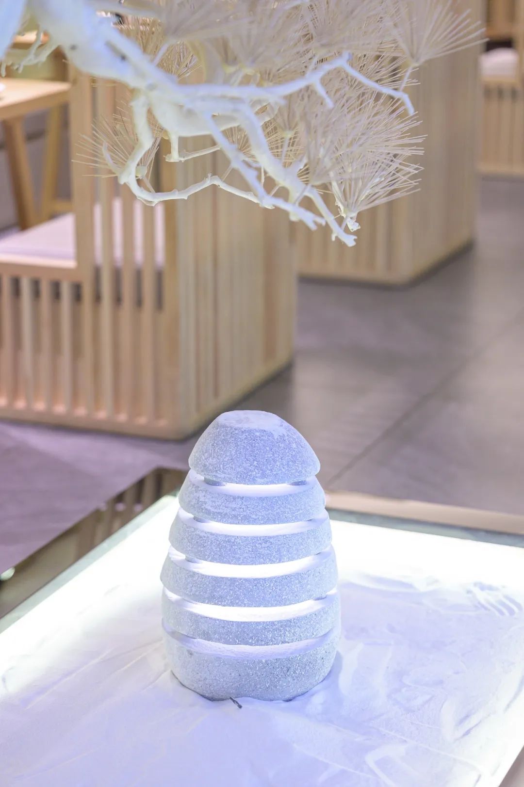 北京路性价比高的早茶店,北京路性价比好店