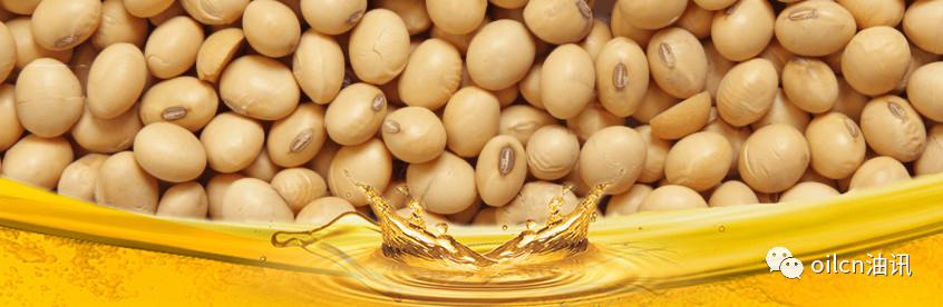 非转基因大豆油图片与价格,金龙鱼非转基因大豆油
