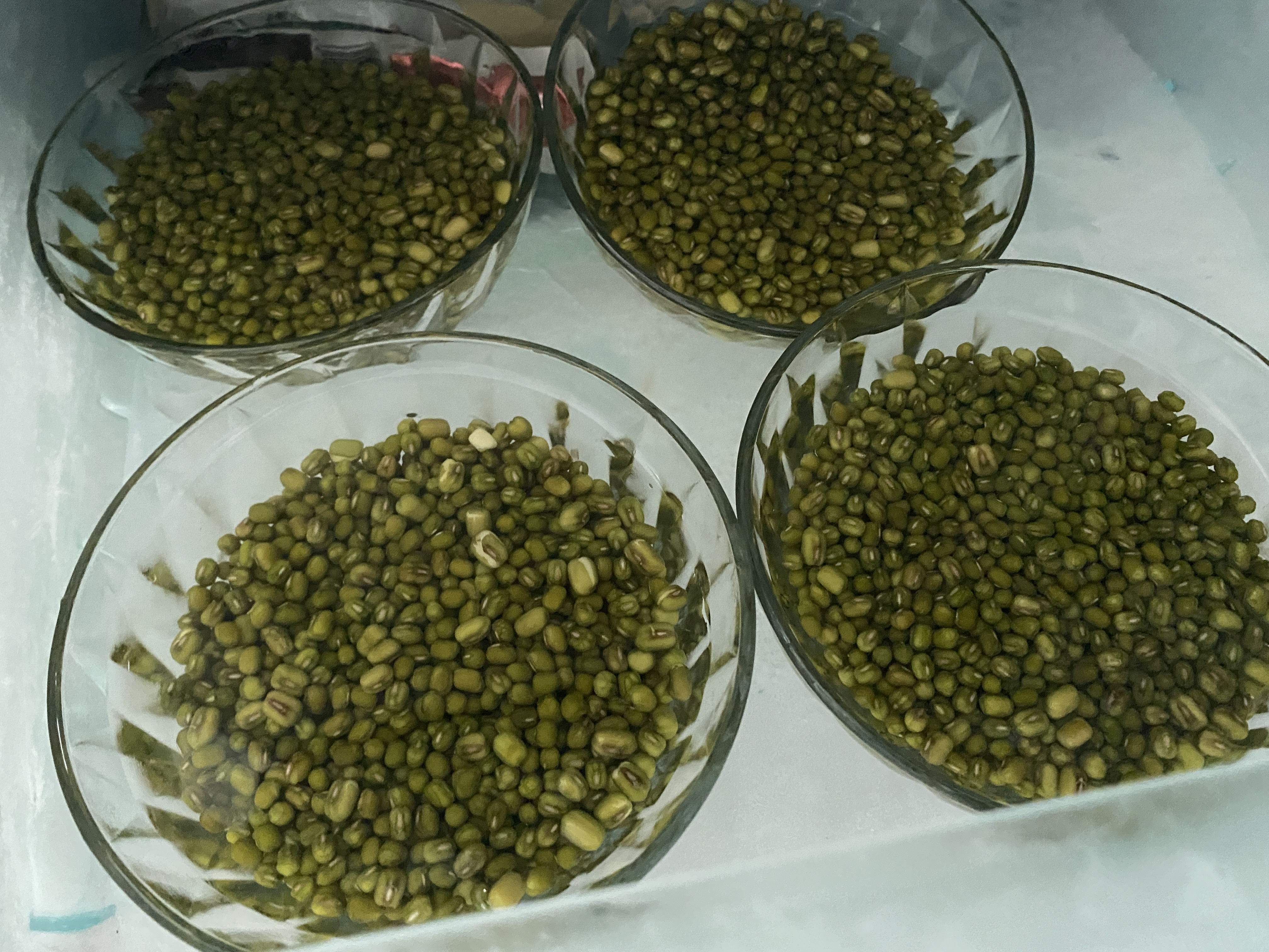 怎么样煮绿豆红豆能煮出沙,绿豆红豆怎么煮软而不脱皮