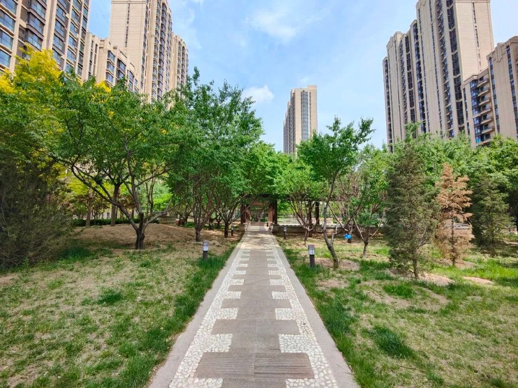 谁是影像机皇,谁才是手机机皇