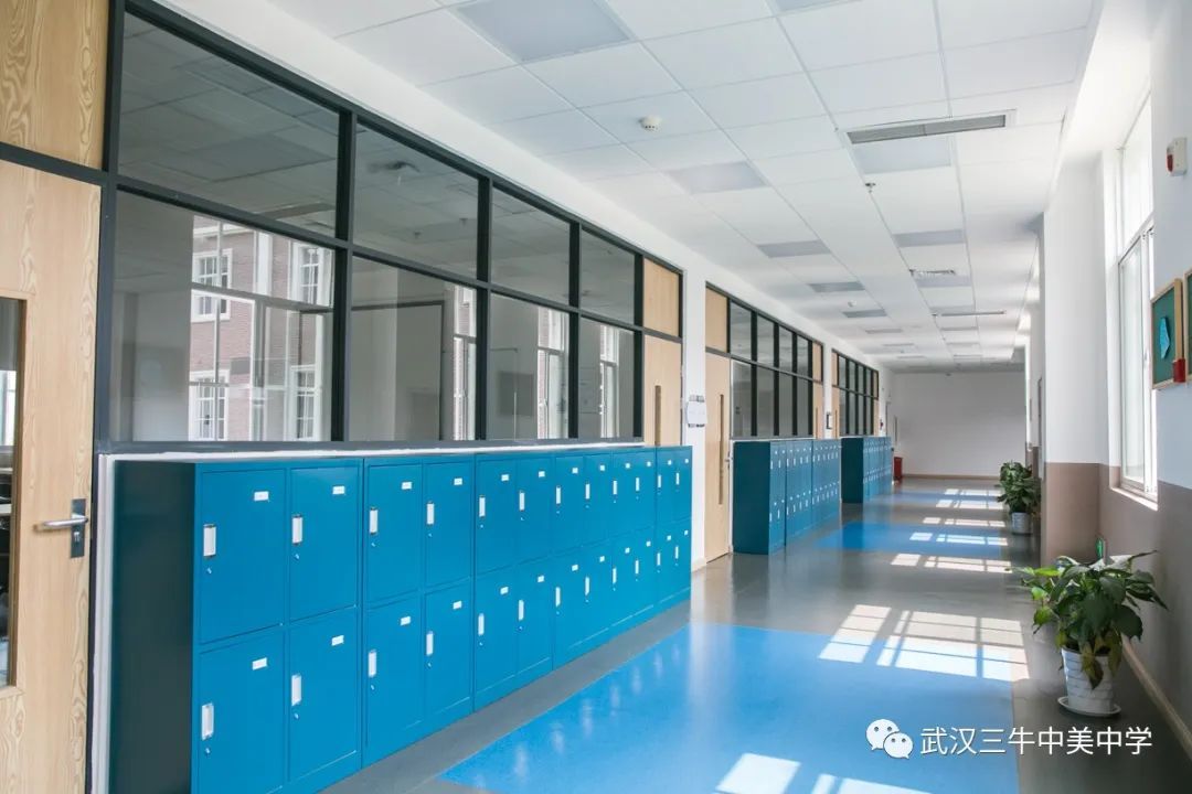 武汉三牛中美中学怎么进,武汉三牛中美中学分数线