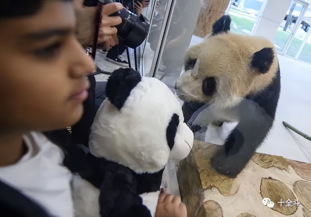 关注卡塔尔,解读卡塔尔