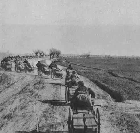 中粮离全球顶级粮商还有多远,中粮第五大粮商