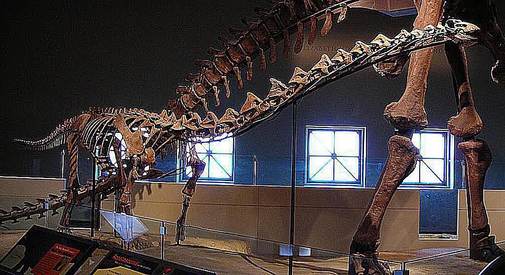 泰坦巨龙图片从哪来的,泰坦巨龙恐龙图片和简介