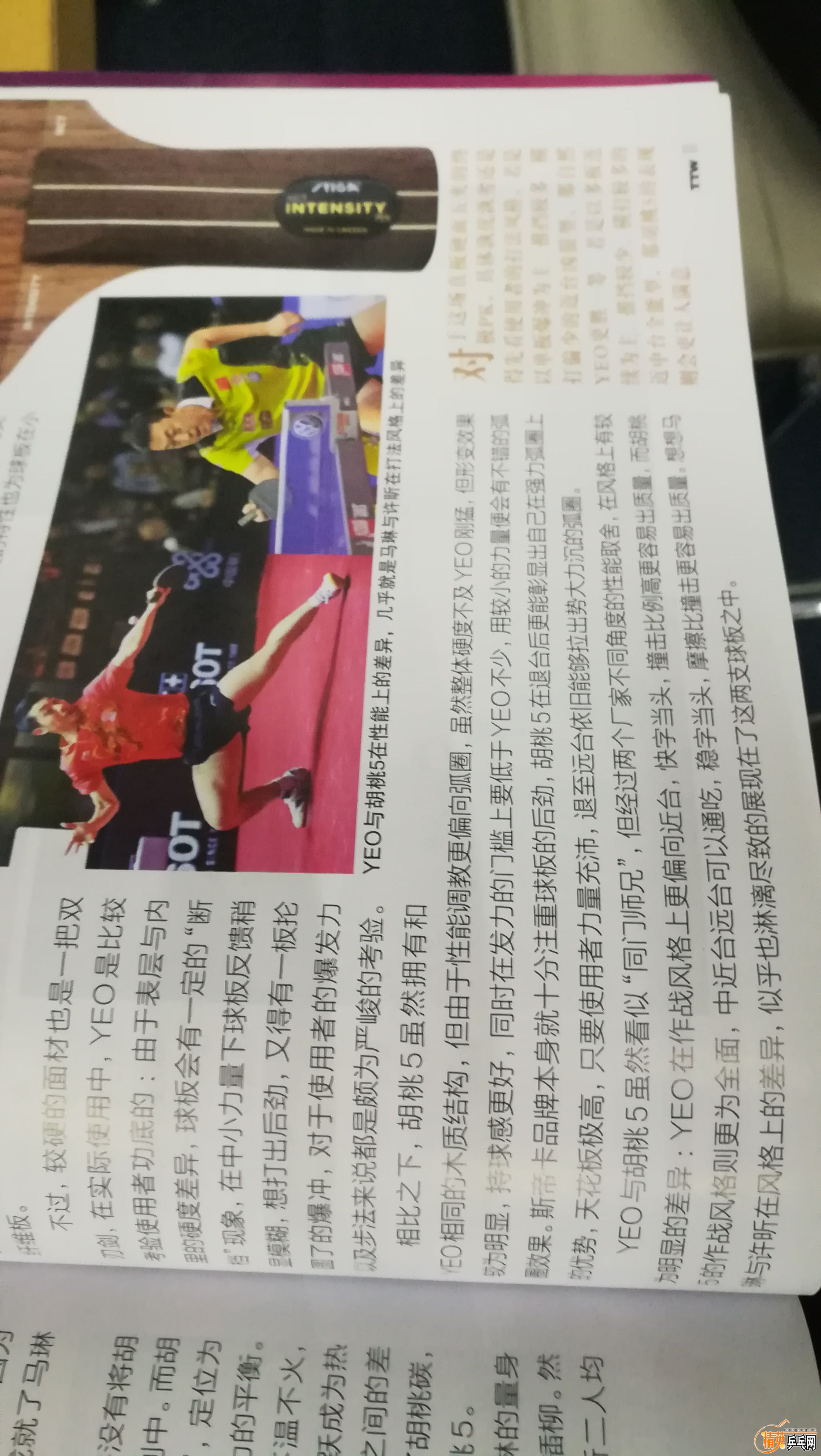 乒乓知识讲座,砖家乒乓器材评测