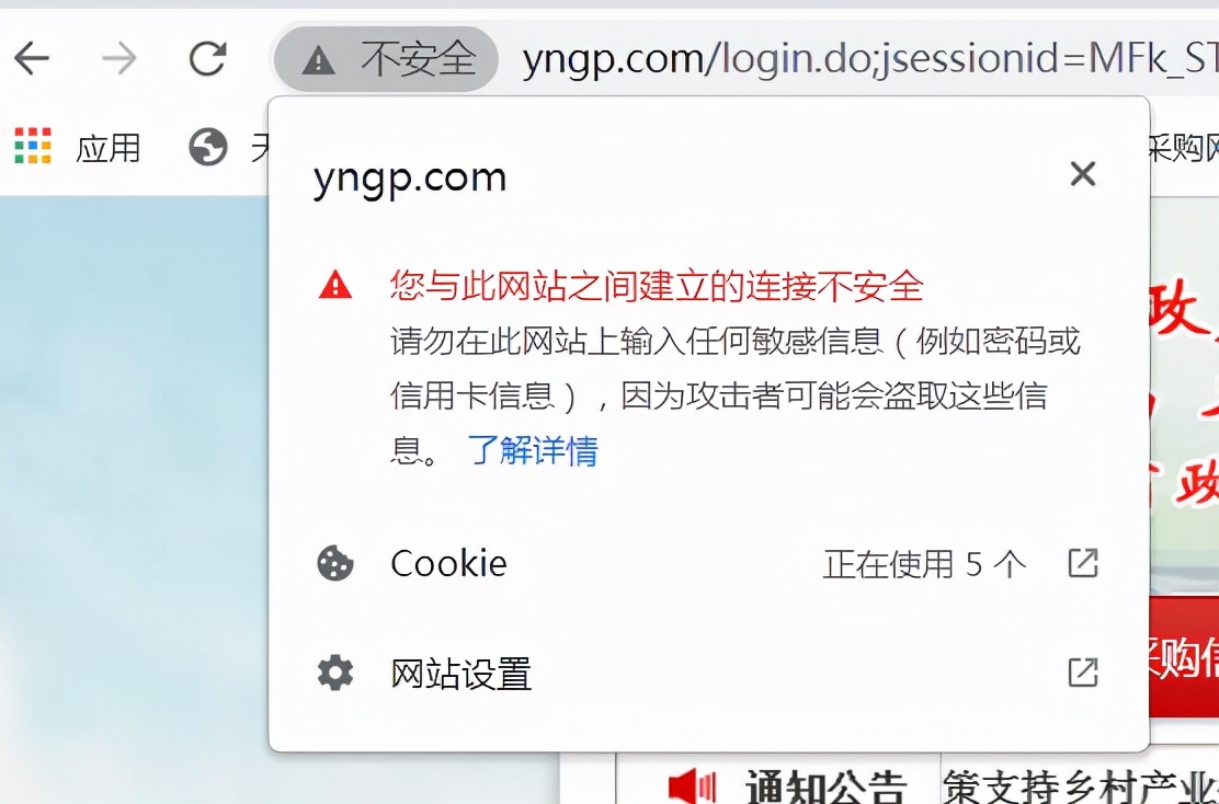 政务后台系统,为什么公司政务网三类系统进不去