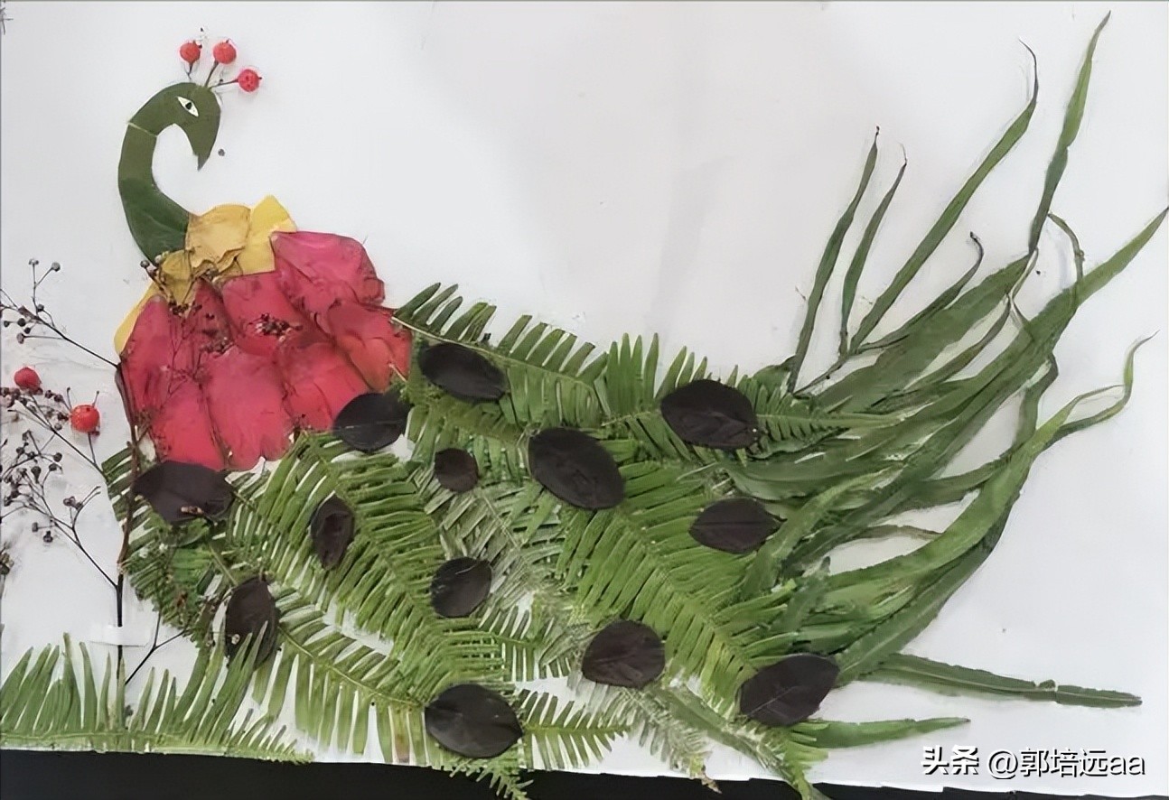 一小伙卖树叶一天挣12000,贵州女子巧用树叶赚大钱