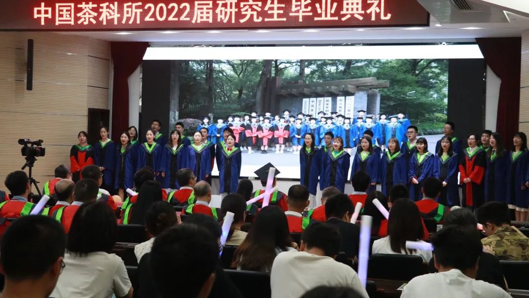 中茶研究生,中茶研究所