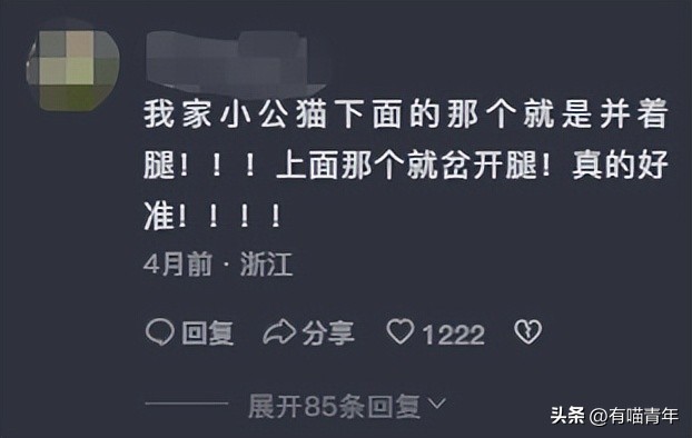 猫咪坐姿分辨性别,猫咪坐姿判断性别