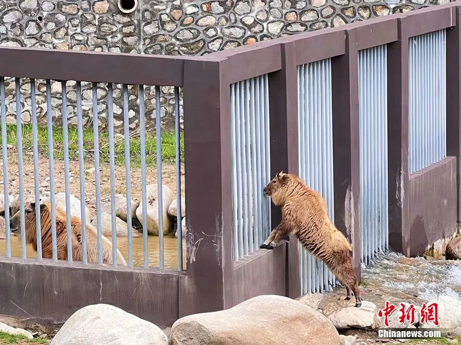 人这一辈子一定要去一趟汉中,人这一辈子一定要去趟旅行