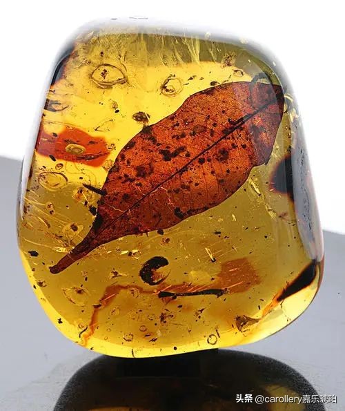 小琥珀嵌在煤精里,这块琥珀的科学价值是什么