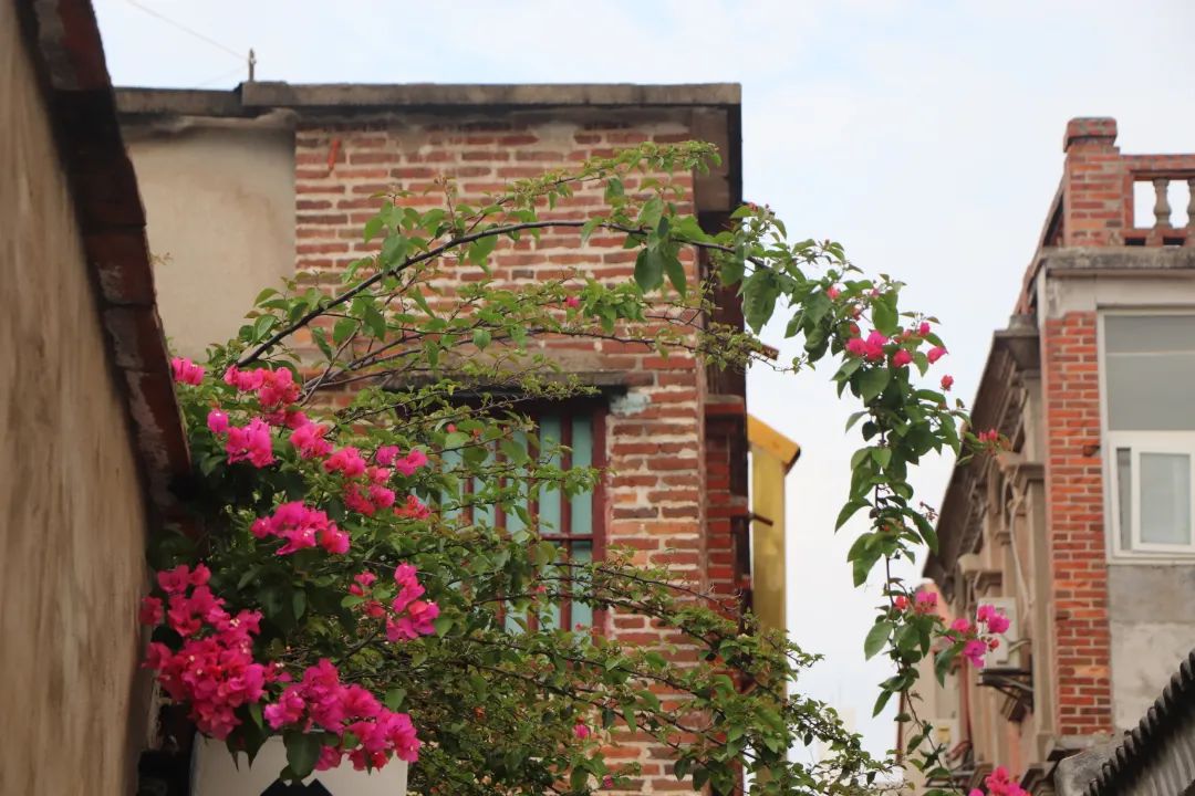 在鼓浪屿,在鼓浪屿是一种什么体验