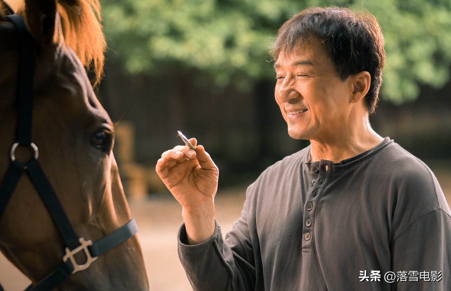 成龙拍龙马精神是想表达什么,成龙财力