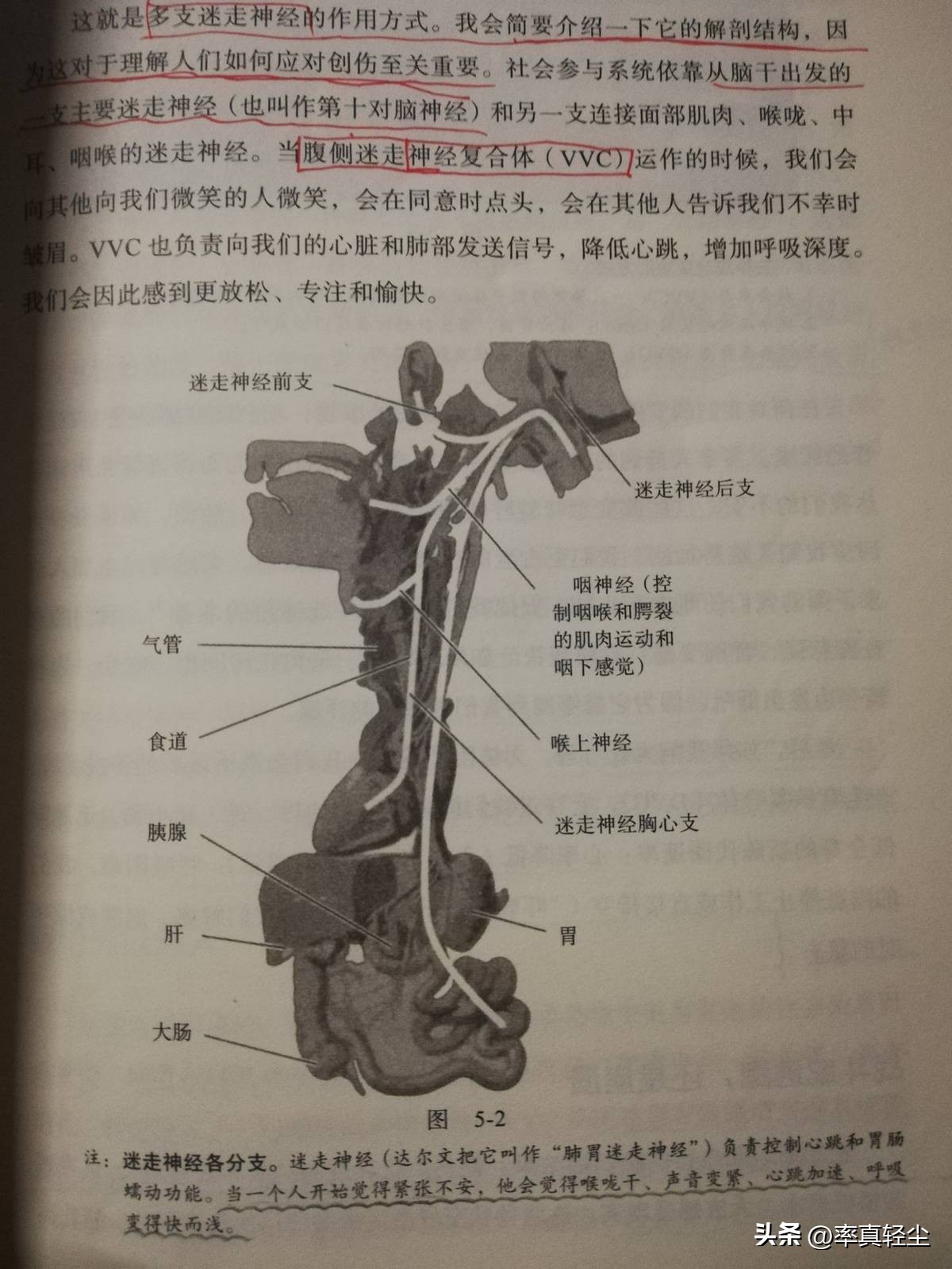 怎样才能彻彻底底忘记一些不好的事？自救必备技能说“强制关机”