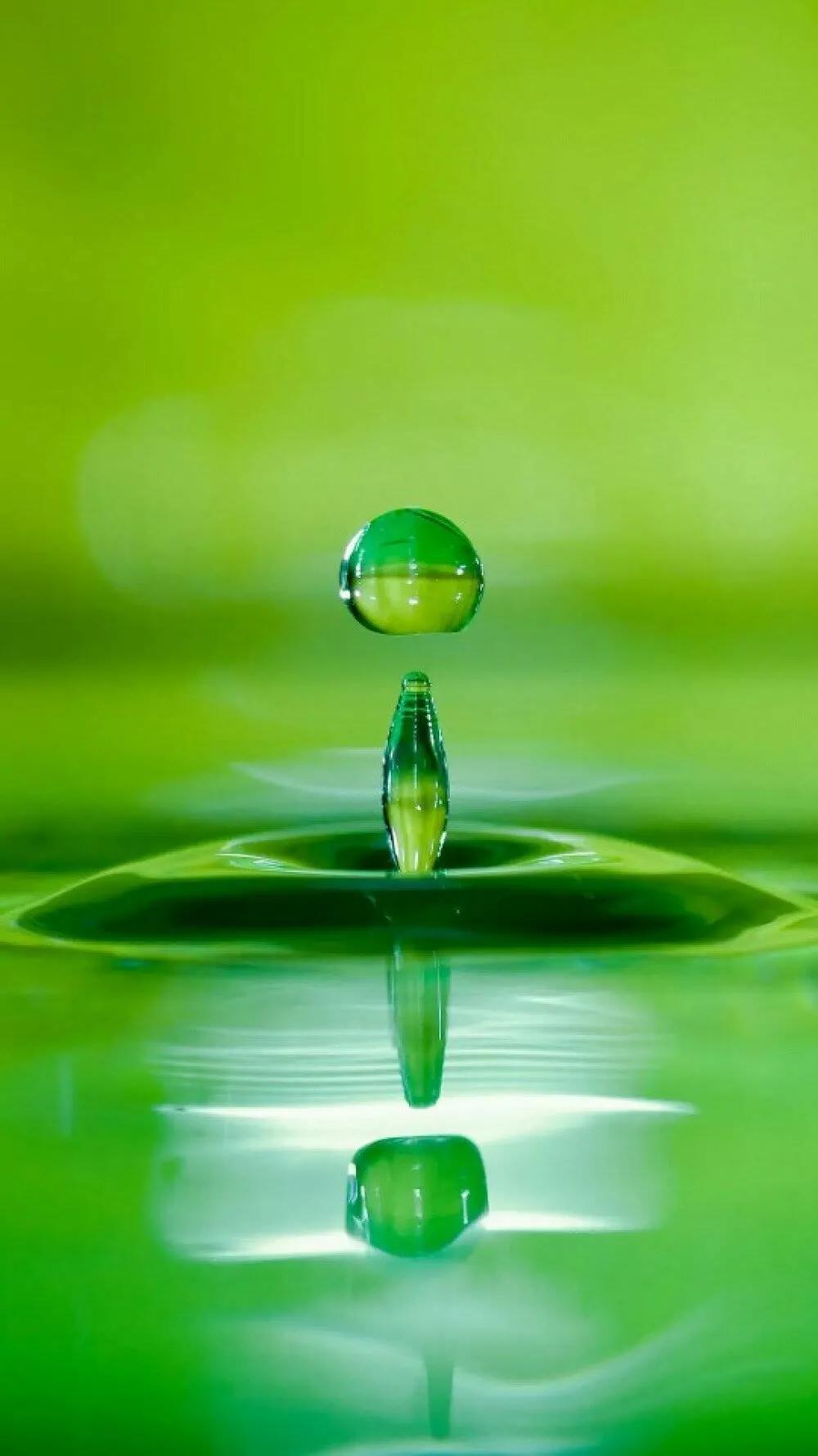 护眼壁纸动态壁纸高清全屏90帧,华为绿色养眼护眼壁纸