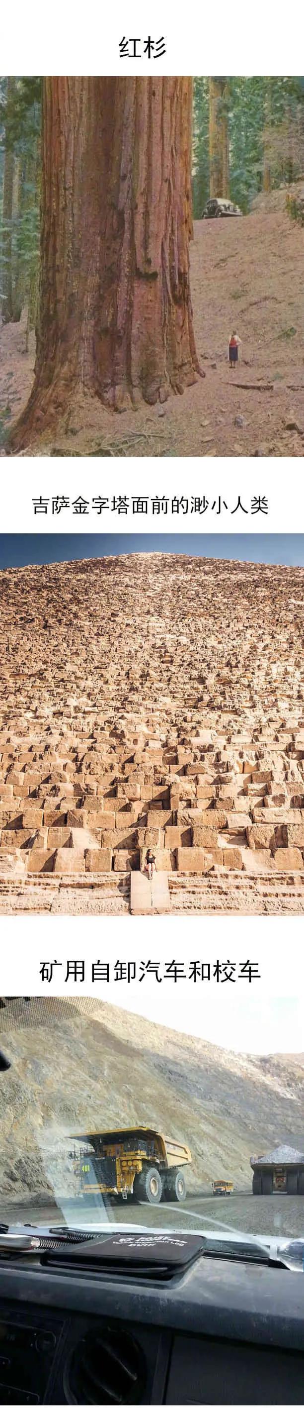 捅了别人一刀我该怎么办,被人捅了一刀该不该拔出来