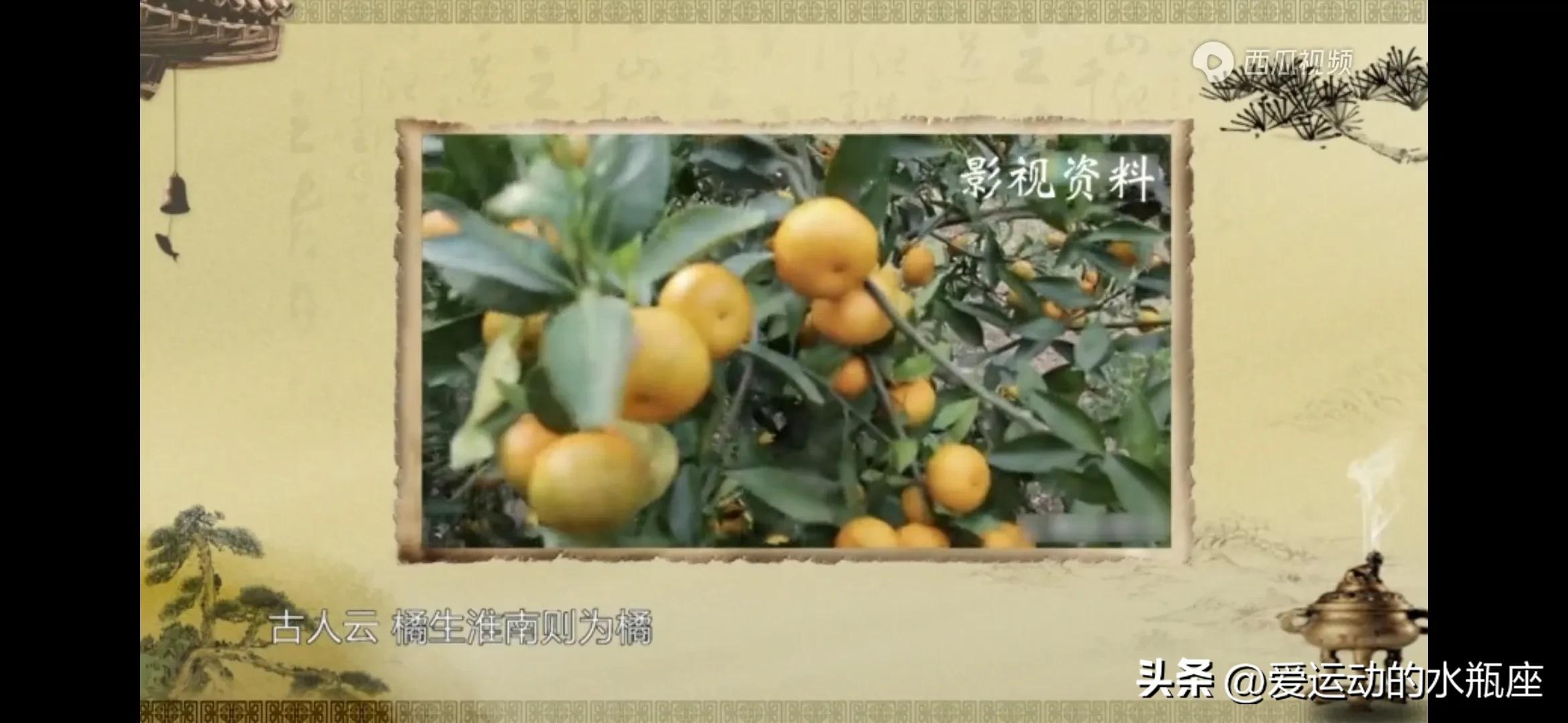 伏羲创卦，是将观察所得的自然现象符号化并进行推广