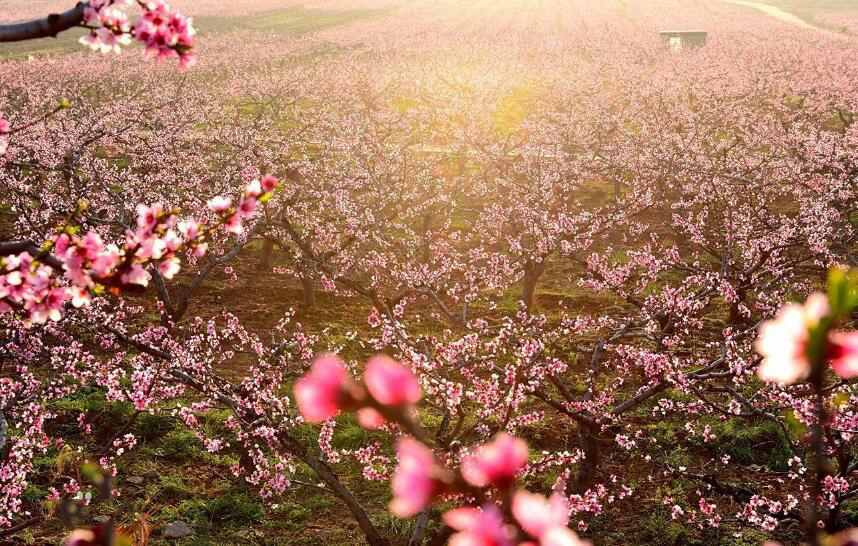 郑州周边1小时车程0元免费的私房打卡地【点赞收藏，早晚有用】