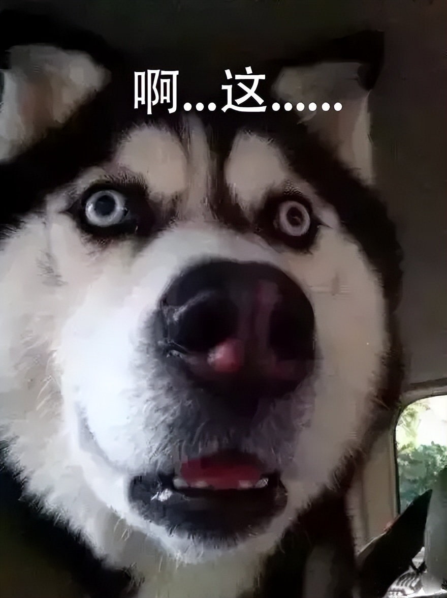 卡西欧g-shock蛙人动物系列,卡西欧gshock蛙人gwf