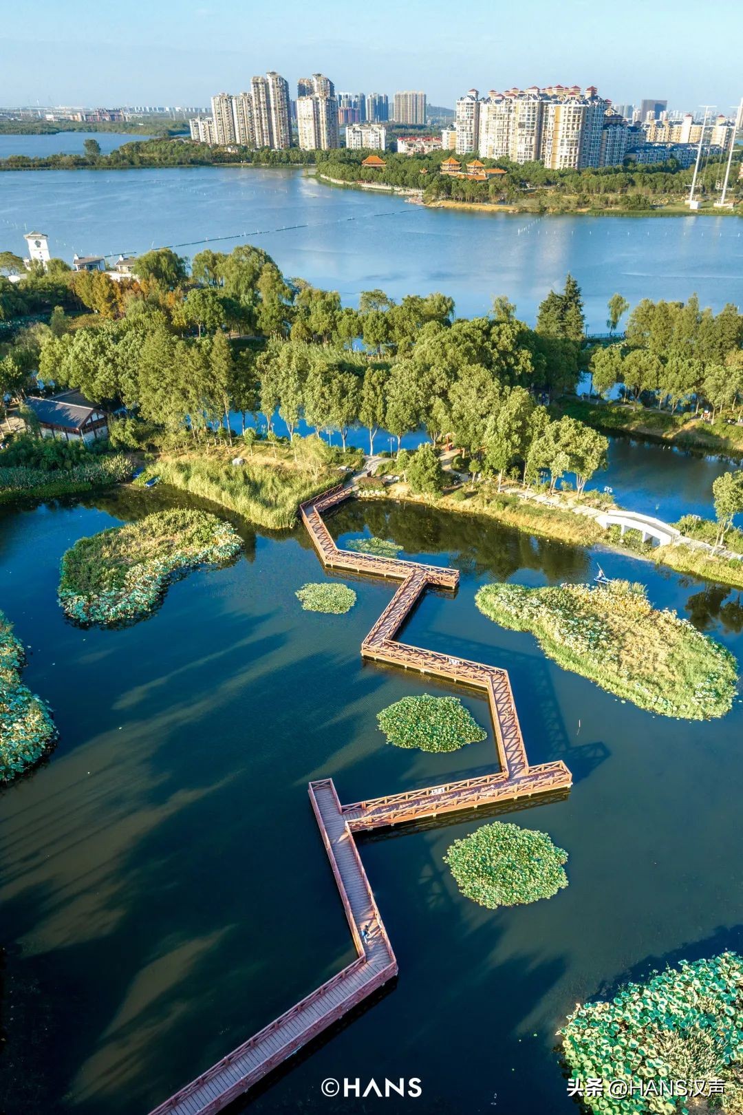 过隐！种花养鱼武汉人