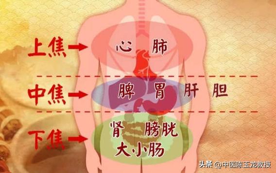 中焦不通是祛湿还是健脾胃,中焦不通先疏肝还是健脾