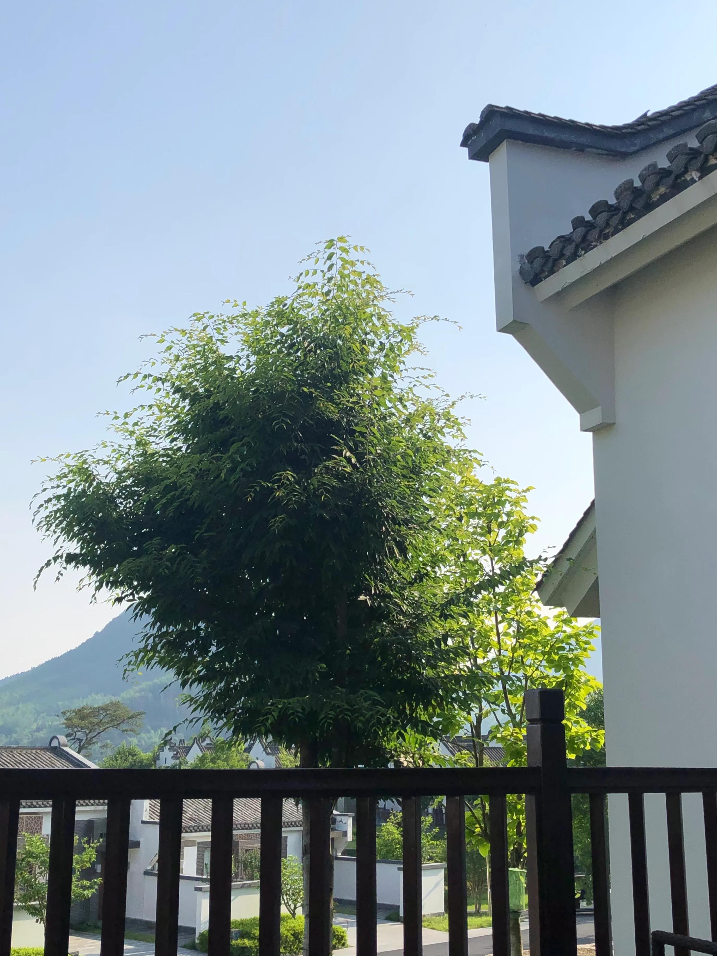 漠视自己的情绪,回避型人格的人对待感情