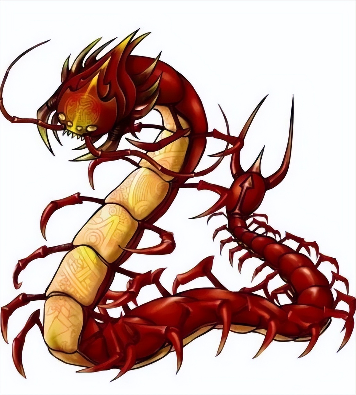 女子睡觉被蜈蚣咬伤,蜈蚣究竟有多恐怖,蛇真的打不过蜈蚣吗?