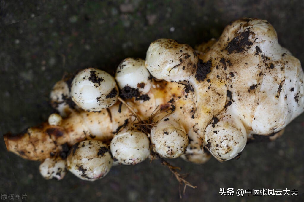 张锡纯散结汤,张锡纯疏肝理气中药方