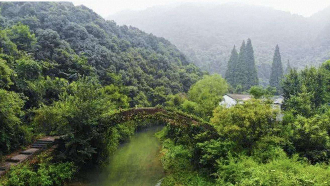 你以为的柯桥,真实的柯桥图片