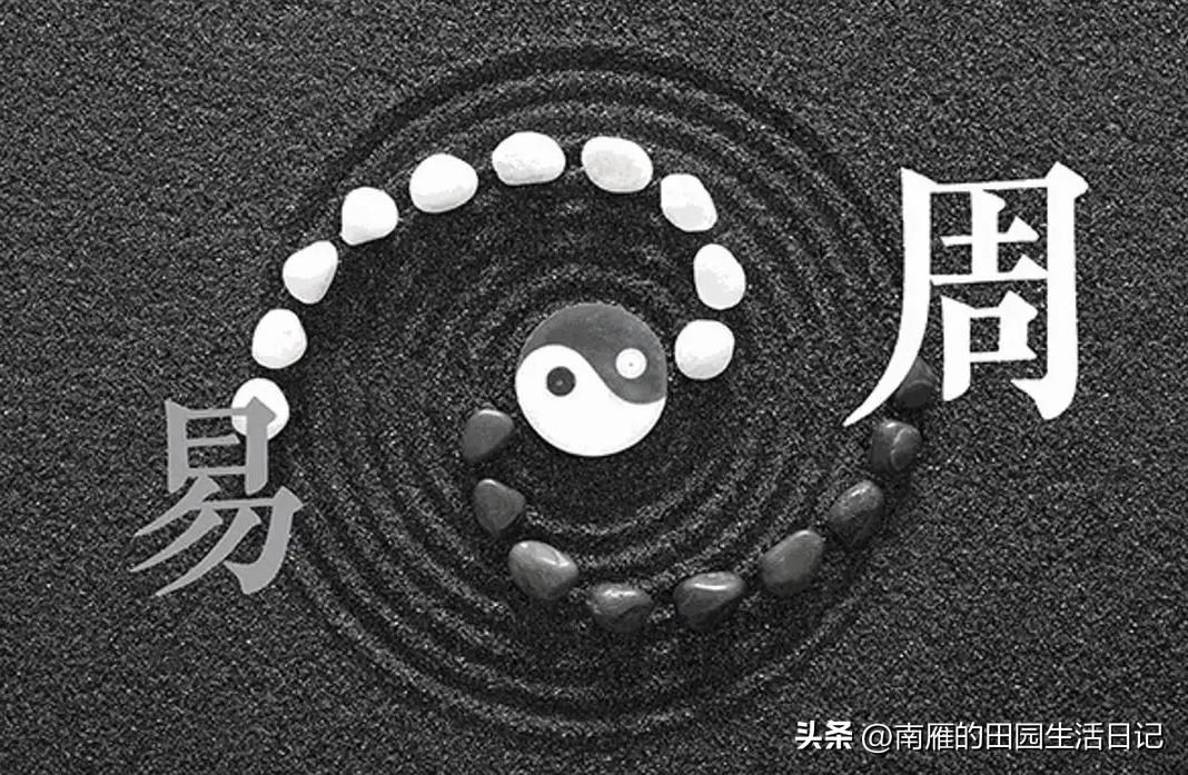 梅花易数特别厉害的故事,梅花易数作者的故事