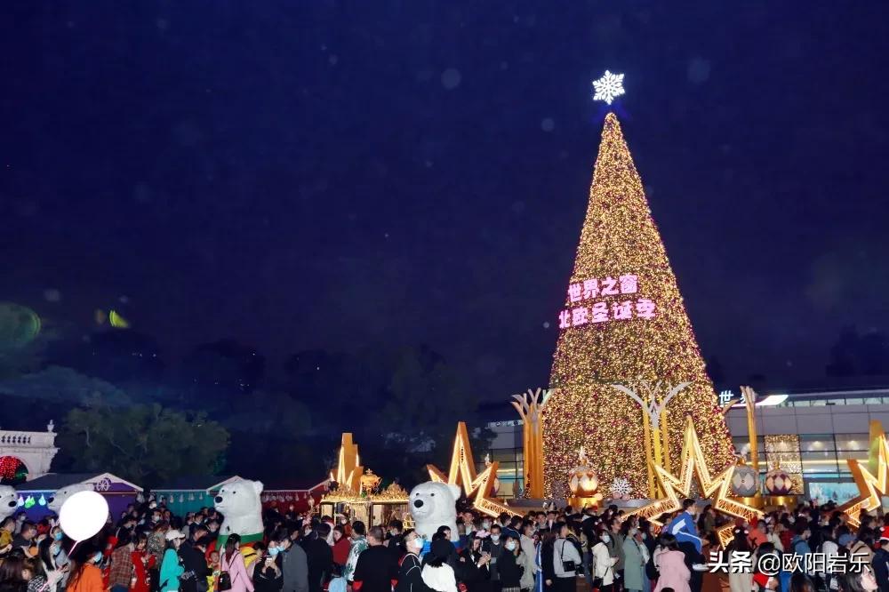 圣诞节好去处国外游,圣诞节推荐去什么地方玩